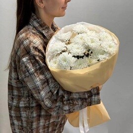 Buket Vozdushnaya akvarel_ iz belih mahrovih kustovih hrizantem