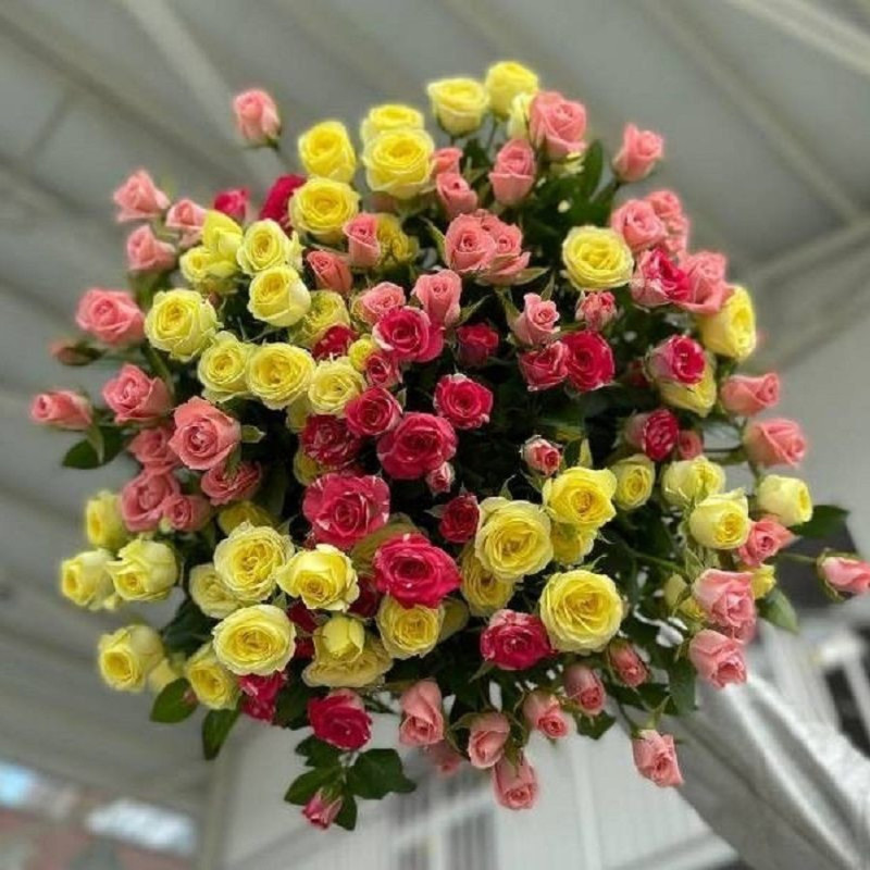 Роза кустовая микс-25 шт.-50см., стандартный