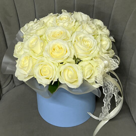 Belaya Roza v korobke