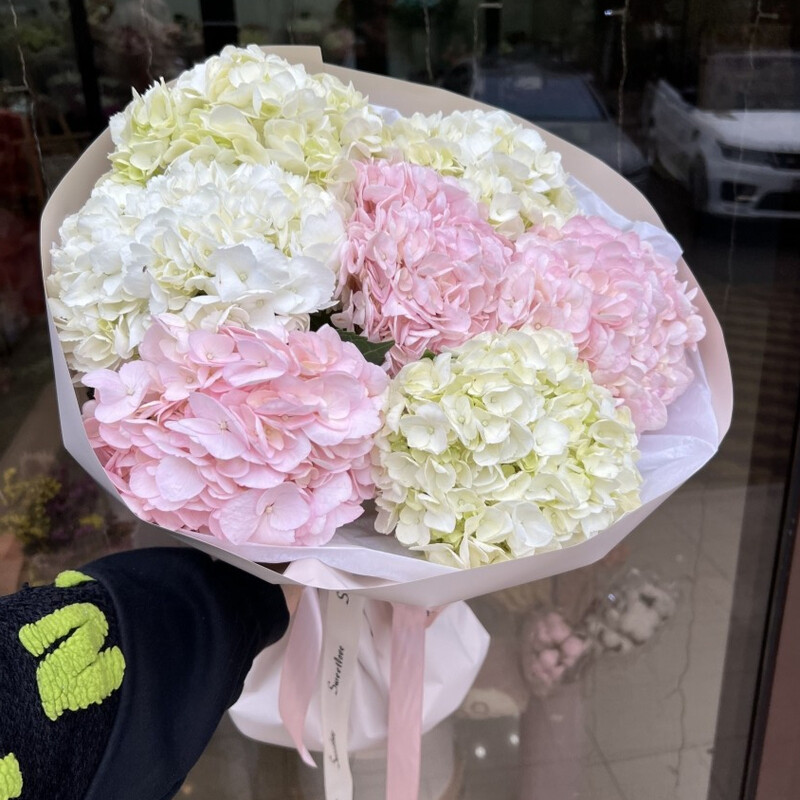 Buket iz gortenzii, standart