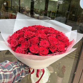51 красная Роза 