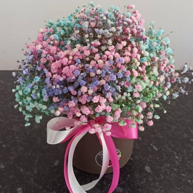 Korobka s raduzhnoj gipsofiloj, reduced