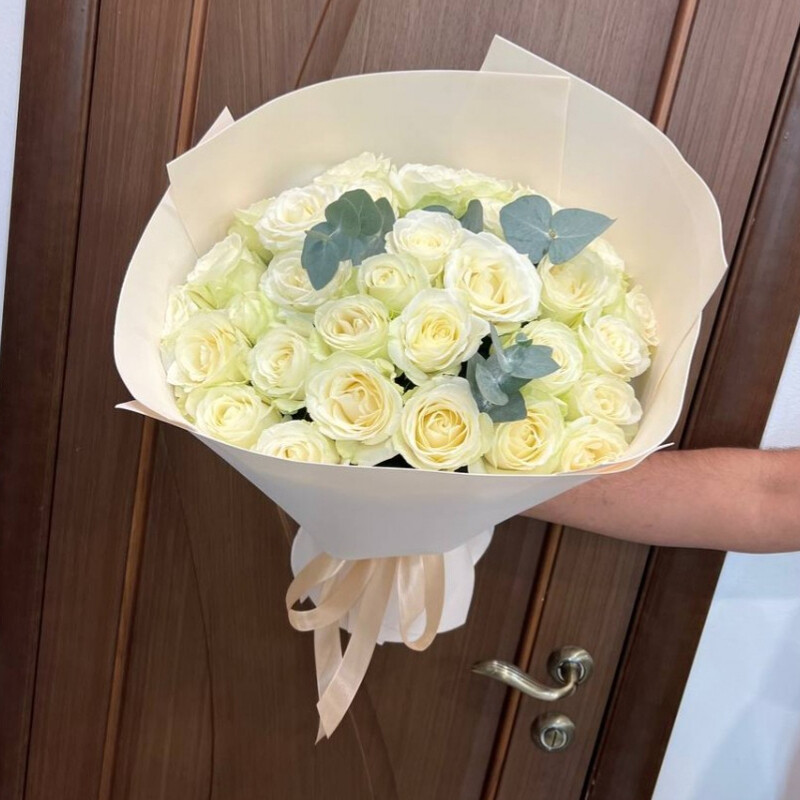 Belie rozi, standart