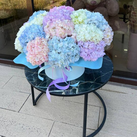 Гортензии в коробке