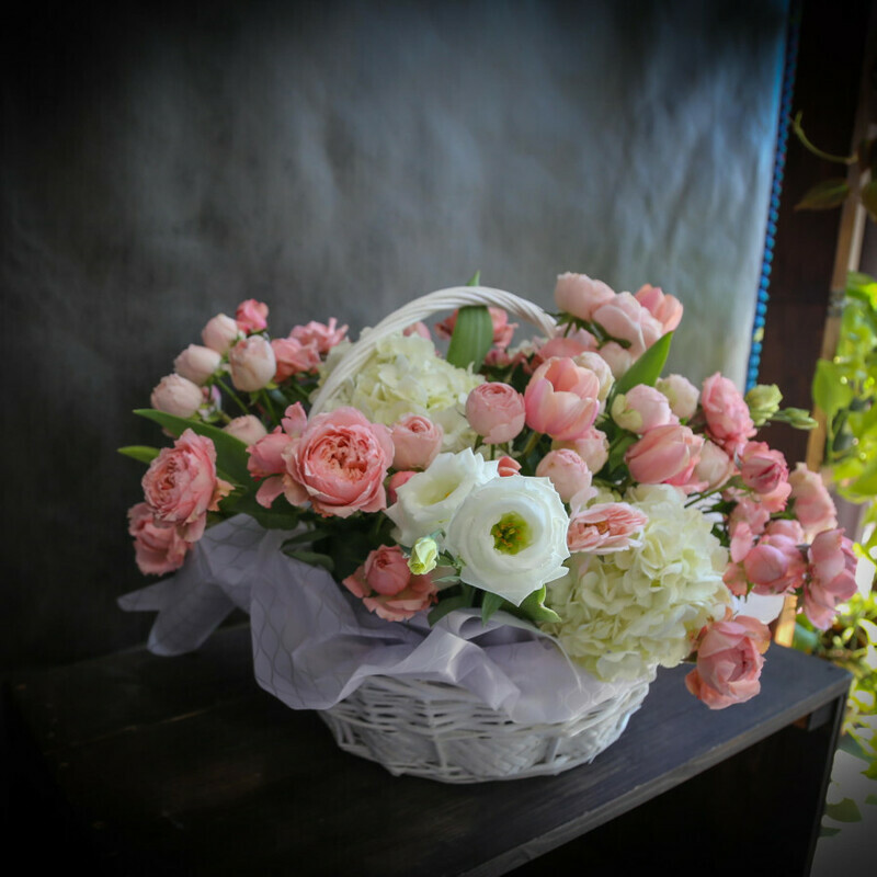 Basket of Tenderness, standart