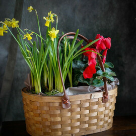 Букет «Корзина весны»