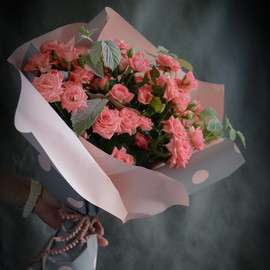 Коралловый взрыв