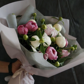 Tenderness of peonies
