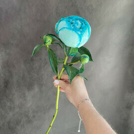 Large peony Tiffany color 1 pc.