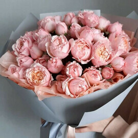 Әдемі Джульетта