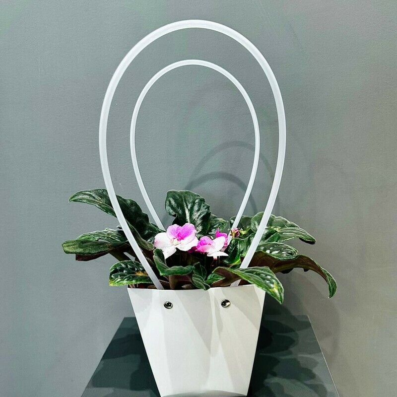 Senpoliya v podarochnoj sumochke, standart