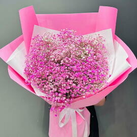 Buket iz rozovoj gipsofili