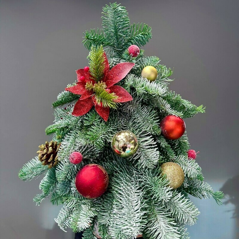 Elochka iz nobilisa s novogodnimi igrushkami, standart