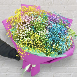 Радуга лета