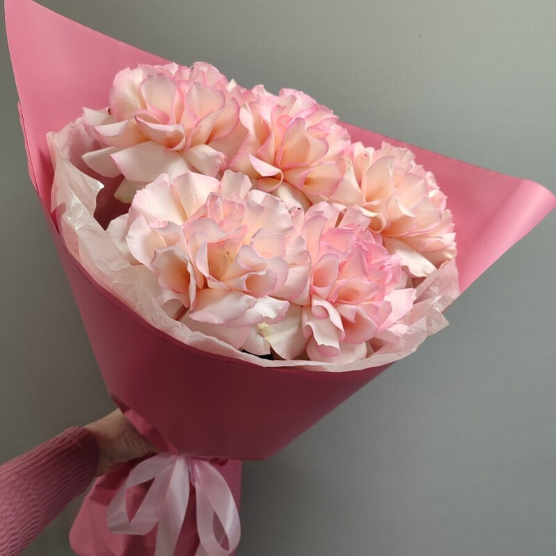 Rozovie frantcuzskie rozi, standart