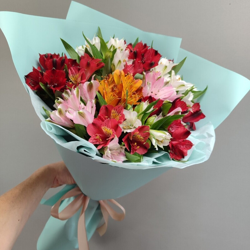 Buket Zvezdi na nebe, 11 al_stromerij