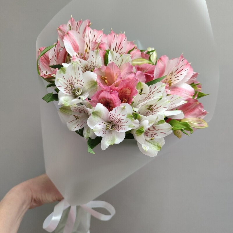 Al_stromerii, reduced