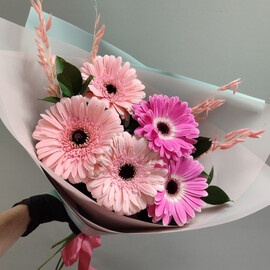 Розовый фламинго