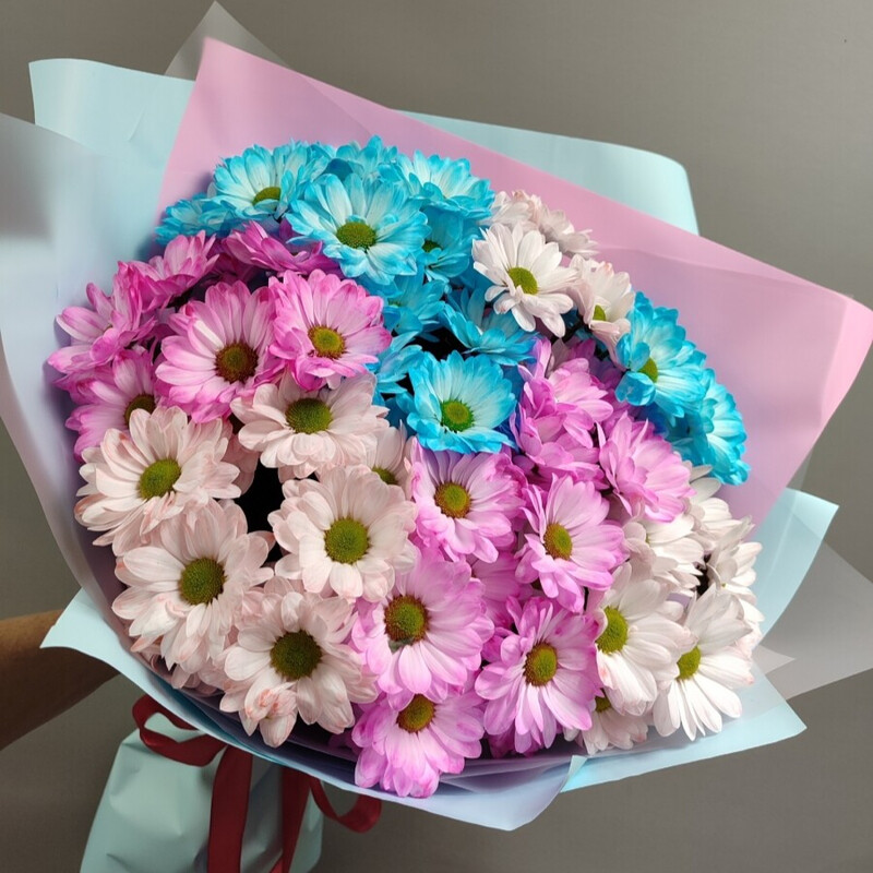 Raduga chuvstv, standart