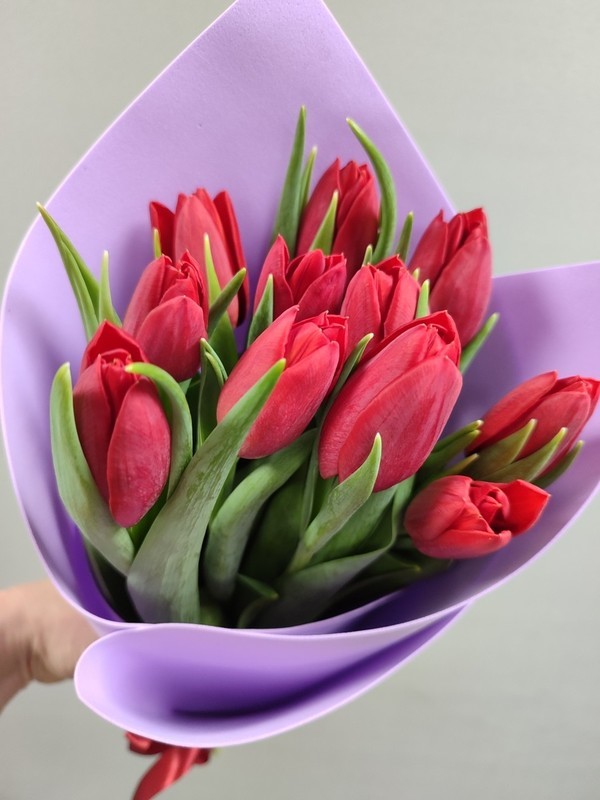 Krasnie tyul_pani, tyul_pani krasnie