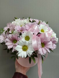 Ромашковое поле