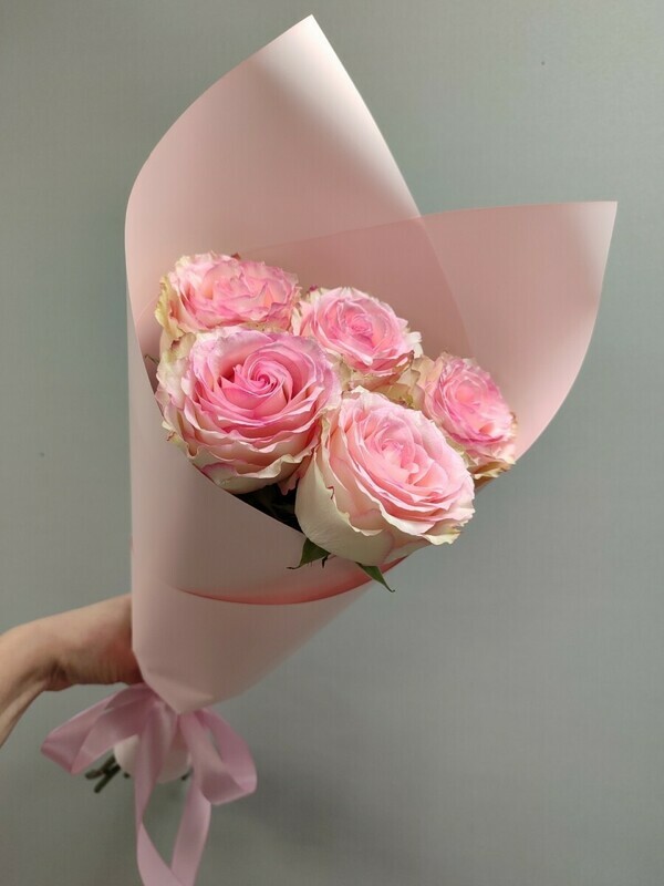 Rozovie rozi, reduced