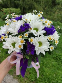 Ромашковый сюрприз