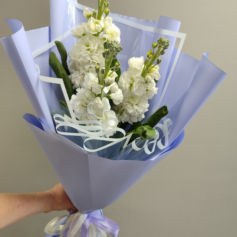 Buket iz aromatnogo levkoya,matiolla, reduced