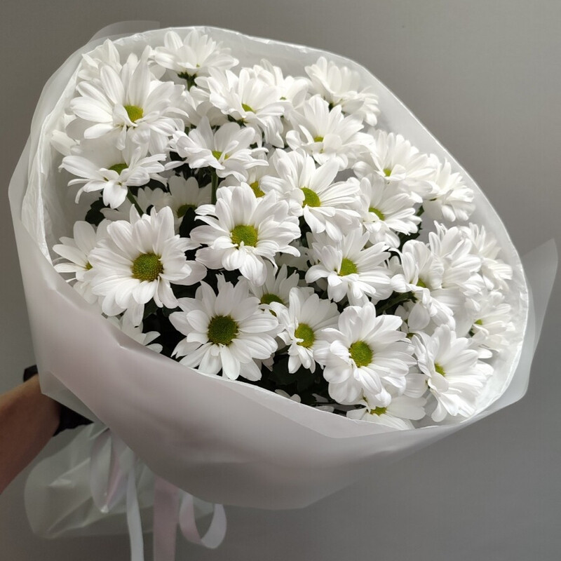 Белое облако, стандартный