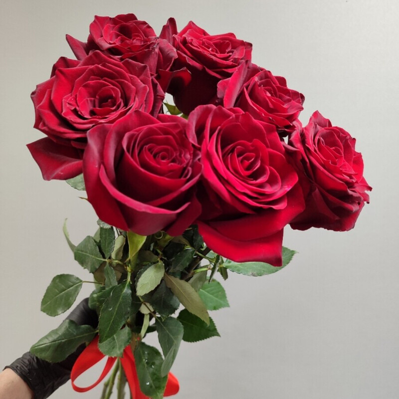 Красные розы, стандартный