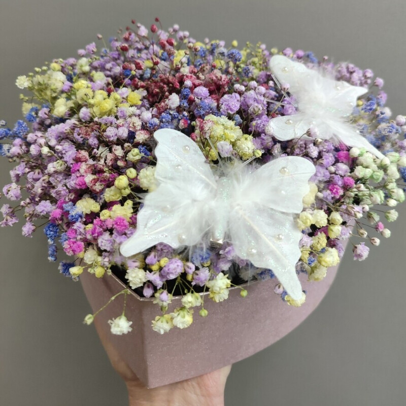 Gipsofila raznotcvetnaya v korobochke serdtce, standart