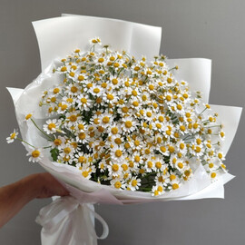 Букет из ромашек