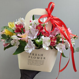 Al_stromerii v sumochke