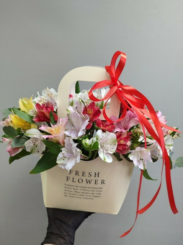 Al_stromerii v sumochke, standart