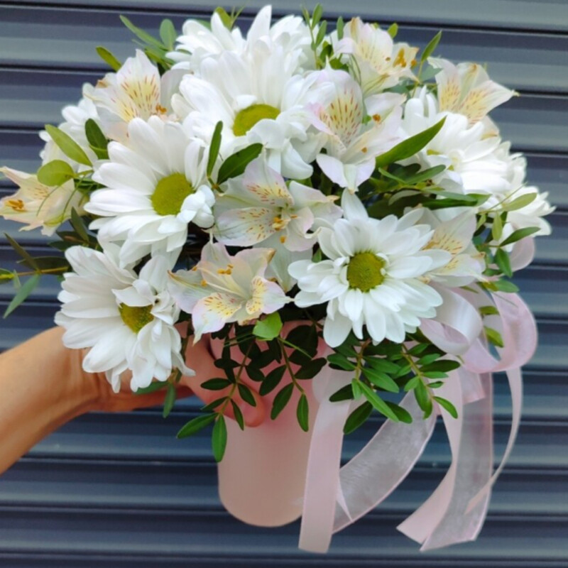 Kompliment lyubimoj, reduced