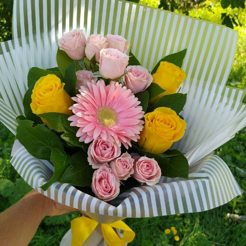 В лучах солнца, стандартный