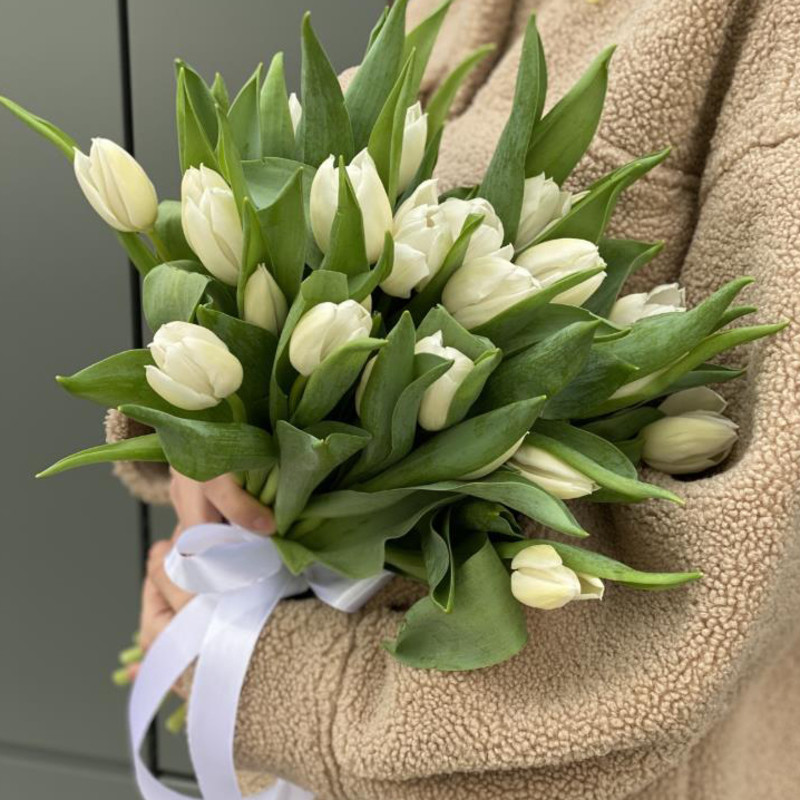 25 белых тюльпанов, 25 белых тюльпанов