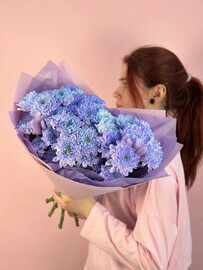 5 фиолетовых хризантем с лагурусом 