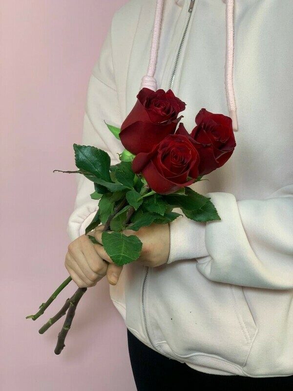 3 rozi Ekvador, reduced