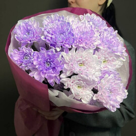 Hrizantema v kruglyashe.