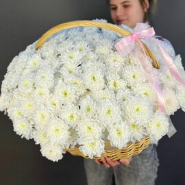 Корзина гигант с белой хризантемой