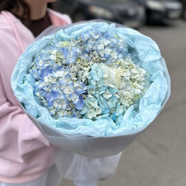 Моно букет с гортензией 