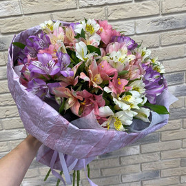 Прекрасное далеко