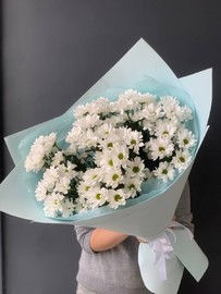 Воздушный гигант