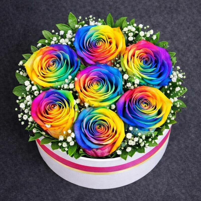 Радуга, стандартный