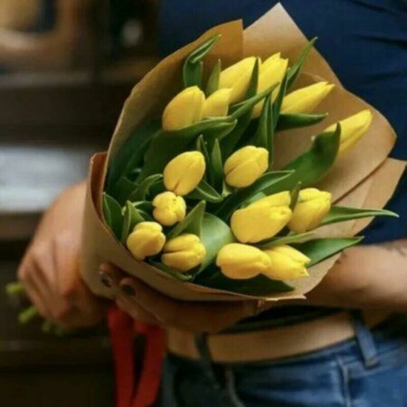 Luch Vesni, zhyoltie tyul_pani