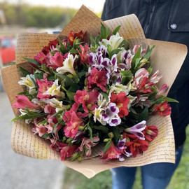 Альстромерии