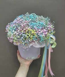 Коробка с гипсофилой "Радужный свет"