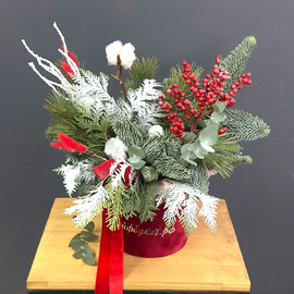 Композиция из нобилиса и илекса "Симфония Рождества"