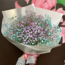 Букет из гипсофилы